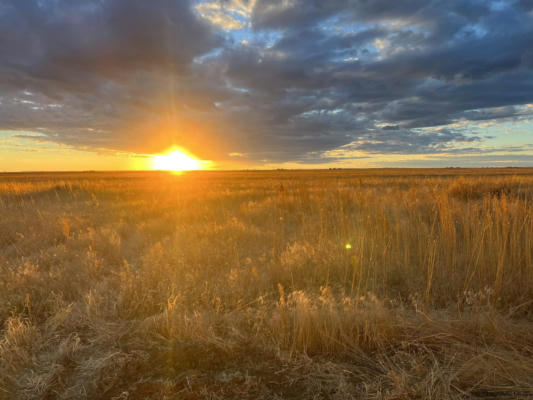 TRACT 1 ROAD 141, CHEYENNE, WY 82009 - Image 1